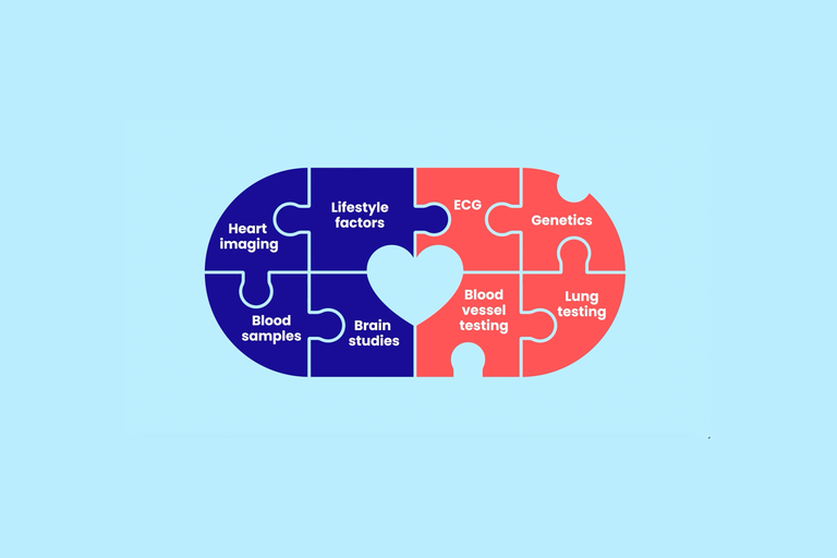 Capsule with puzzle pieces labeled heart imaging, lifestyle, blood, brain, ECG, genetics, lung tests
