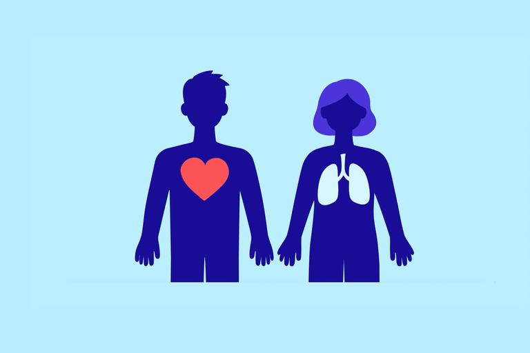 Two figures side by side, one with a heart icon and the other with a lung icon