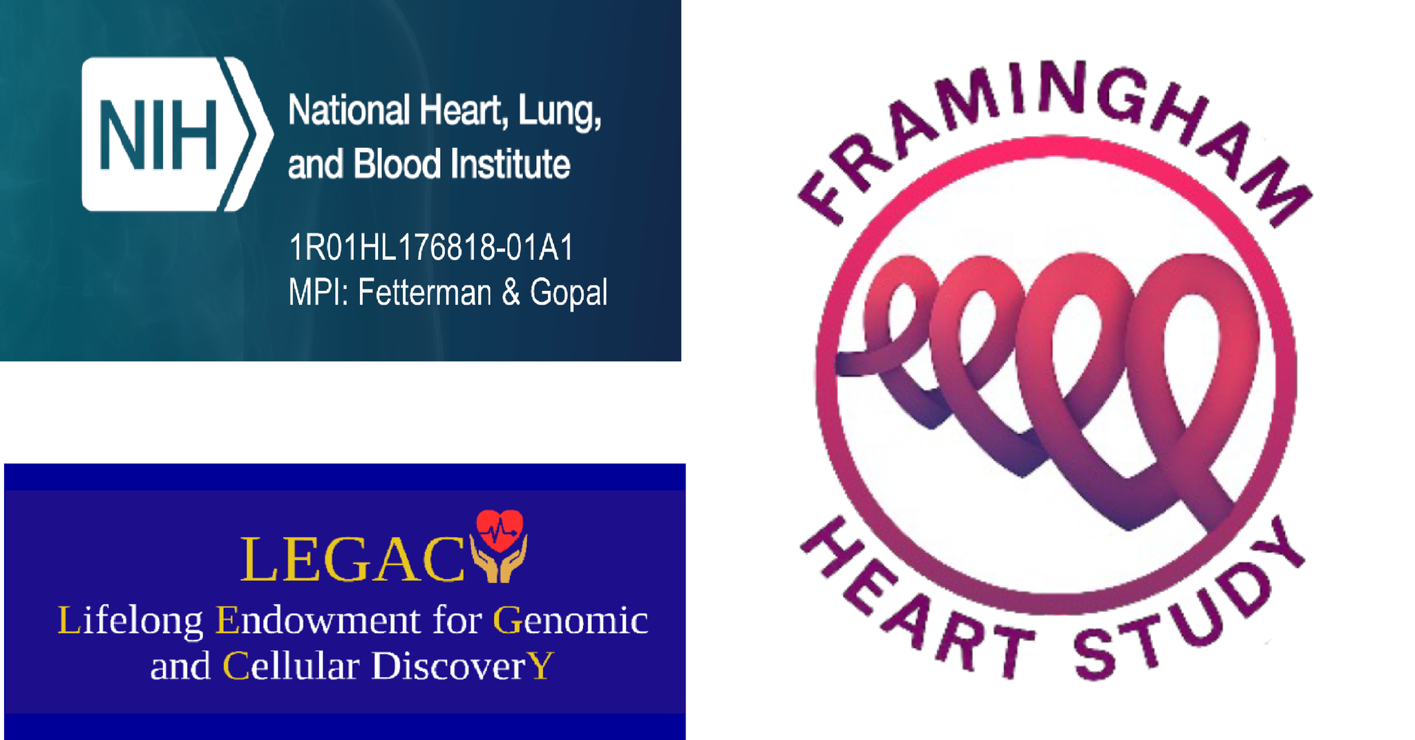 Logos for NHLBI grant 1R01HL176818-01A1, Framingham Heart Study, and LEGACY program
