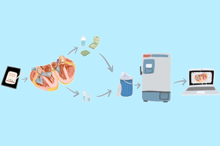 Diagram of LEGACY process: consent, tissue collection, storage, and biobank atlas