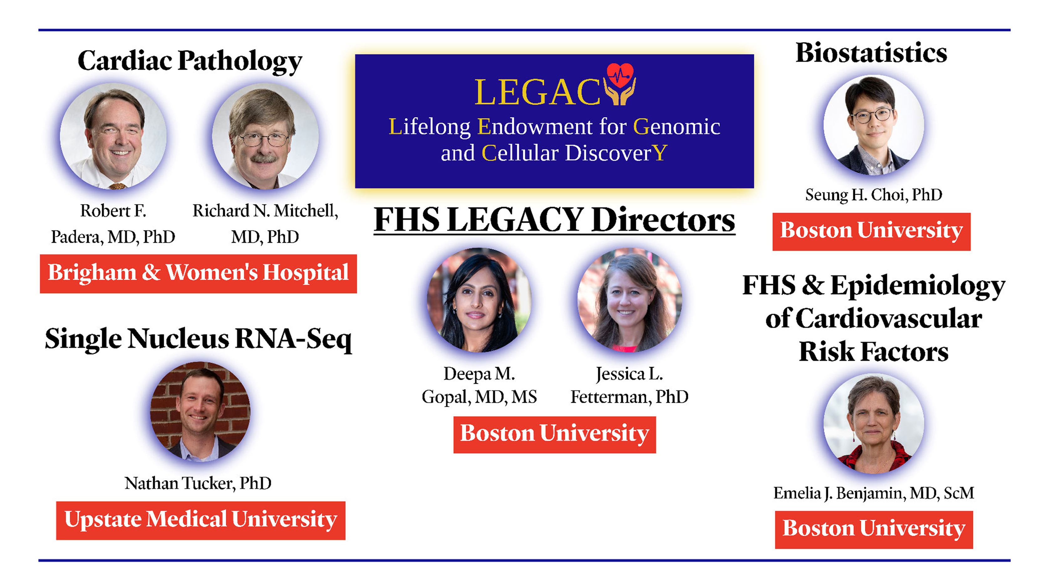 Infographic showing FHS LEGACY directors, collaborators, and cardiovascular research areas”